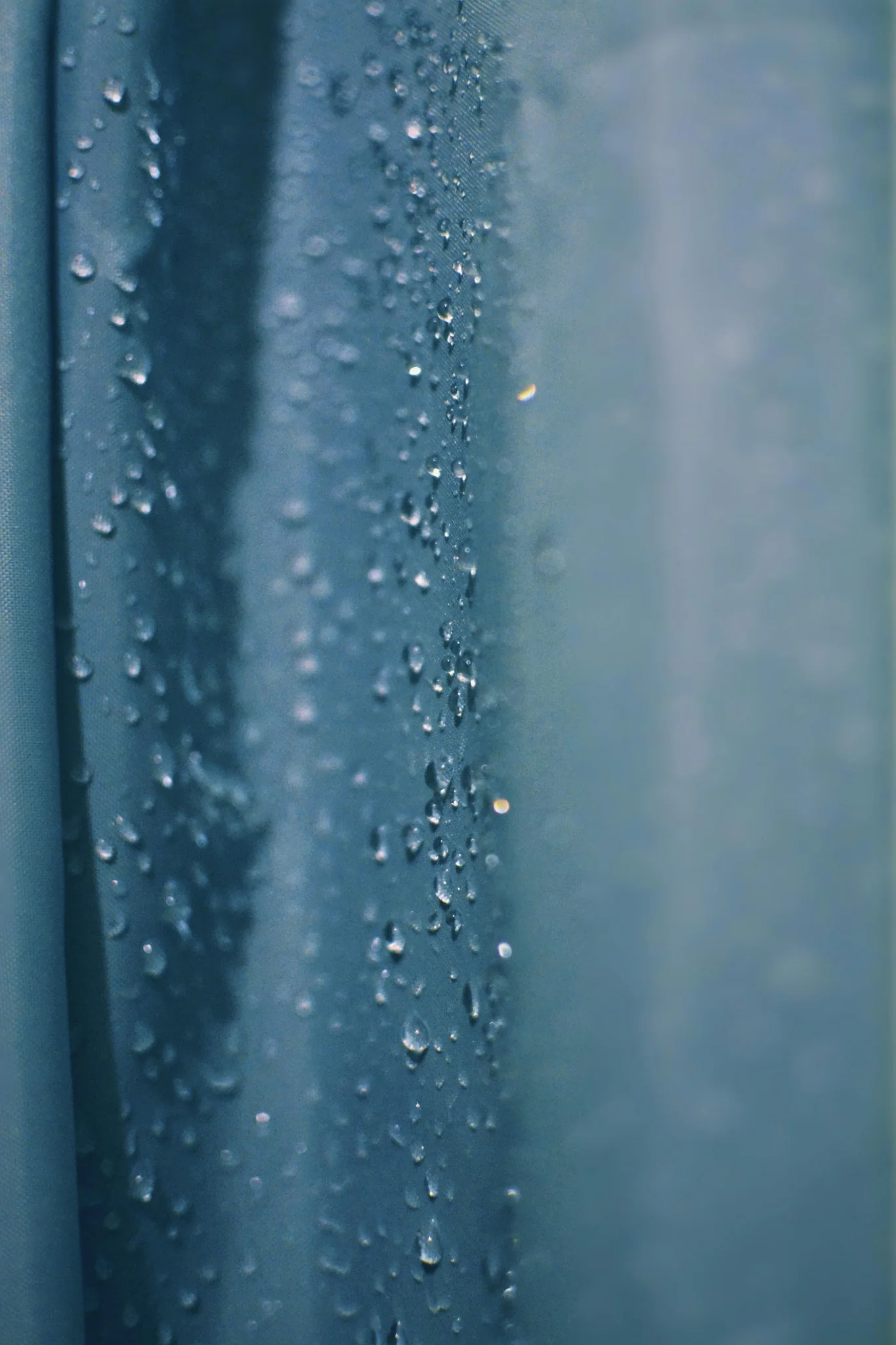 Water droplets in close detail